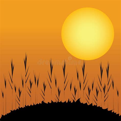 Late Afternoon Stock Vector Illustration Of Sunray Sunlight 31091952