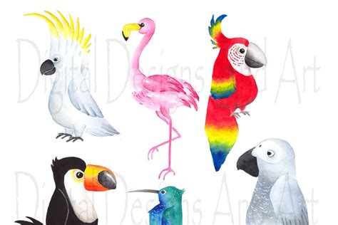 Watercolor Tropical Birds Creative Daddy