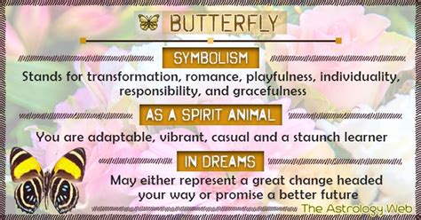 Butterfly Symbolism Spirit Animal Dream Butterfly Meaning Butterfly