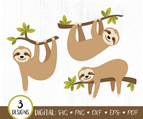 Sloth Svg Sloth Clipart Sloth Svg Bundle Cute Sloth Sloth Birthday