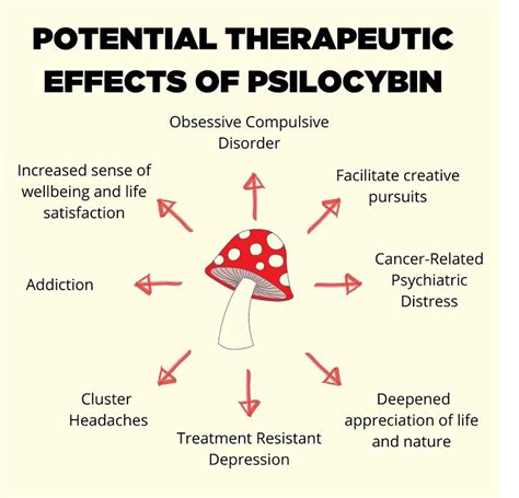 Health Benefits Of Psychedelics No Fallen Heroes Foundation