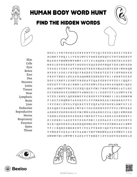 Human Body Themed Word Searches Beeloo Printable Crafts And