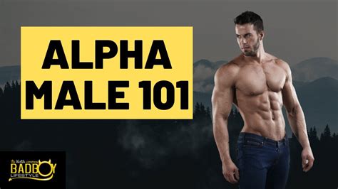 How To Become An Alpha Male Review Sheetfault