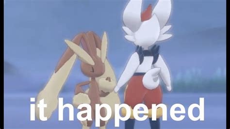 Yall Want A Cinderace And Lopunny Interaction Youtube