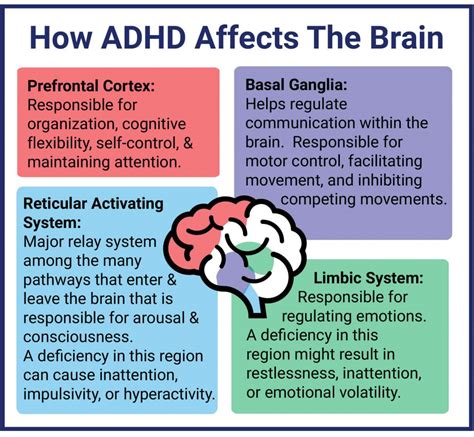 Adhd Signs Symptoms And Causes