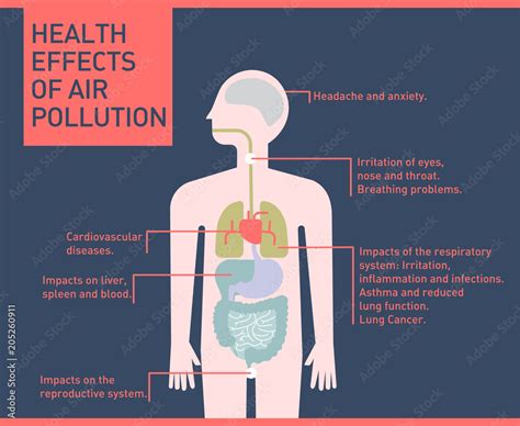 Health Effects Of Air Pollution On Human Body Infographic Flat Illustration Vector Vector De