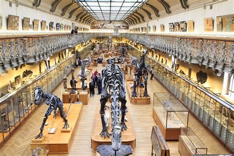 Best Natural History Museums In The World