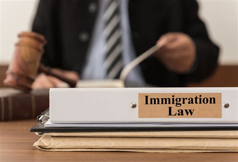 Reasons To Hire An Immigration Lawyer First Light Law
