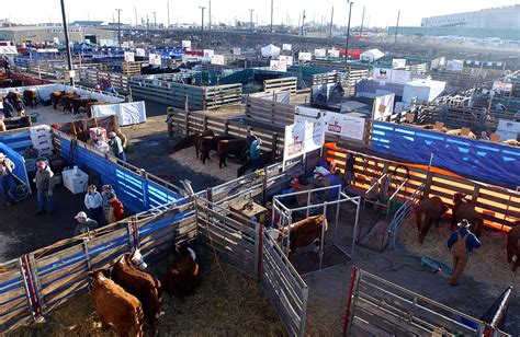 2016 National Western Stock Show Kicks Off With Parade Today