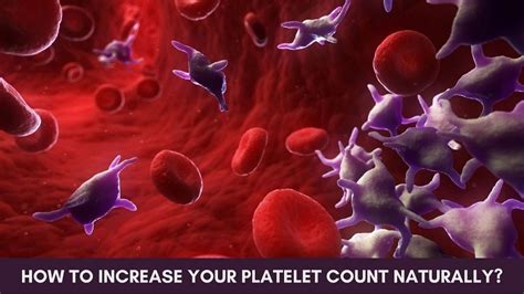 How To Increase Your Platelet Count Naturally