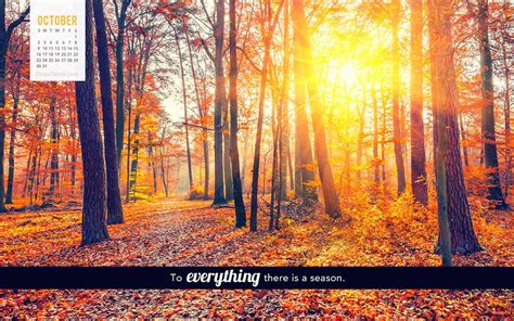 October 2016 - To Everything there is a Season Desktop Calendar- Free October Wallpaper