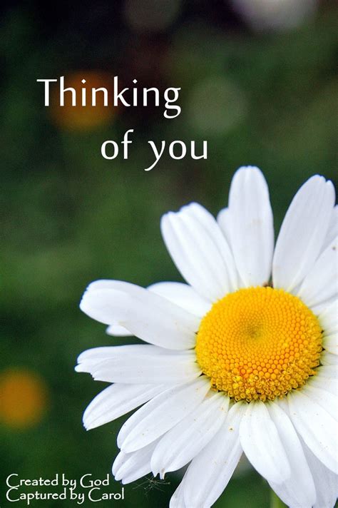 50 Best Thinkingpraying For You Images On Pinterest