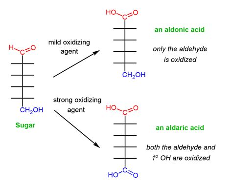 Oxidation Of Monosaccharide Carbohydrates Chemistry Steps