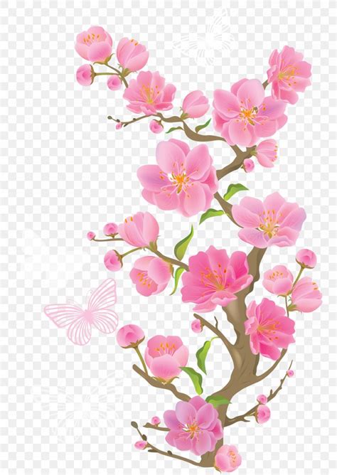 Cherry Blossom Flower Clip Art Png 1732x2442px Cherry Blossom