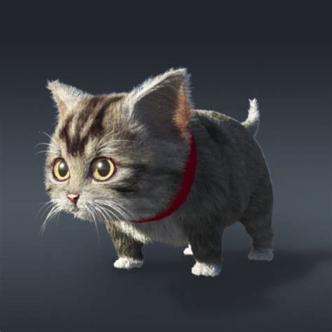 The archive includes a 3d model in stl format. baby cat fur 3d model