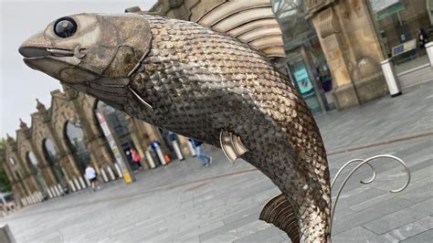 Sheffield Steel Sculpture Celebrates Salmons Return To River Don Bbc