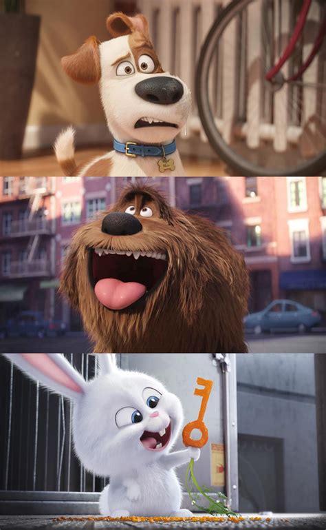 Get To Know The Animals Of The Secret Life Of Pets Reel Advice