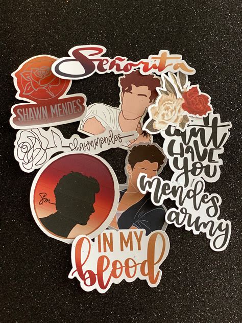 Shawn Mendes 10 Pc Vinyl Sticker Pack Etsy