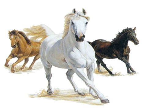 Horses Clipart 20 Free Cliparts Download Images On Clipground 2023