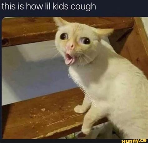 How Lil Kids Cough Cat Meme