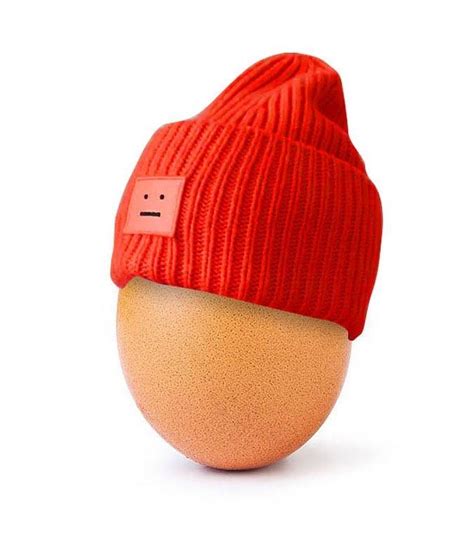 Beanie Photoshop World Record Egg Know Your Meme