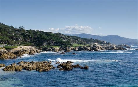 Coastline Along The 17 Mile Drive In Pebble Beach Of Monterey Peninsula