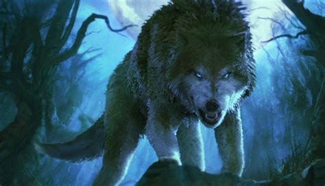 Maybe you would like to learn more about one of these? Fantasy Wolf in Night Forest HD Wallpaper | Hintergrund ...