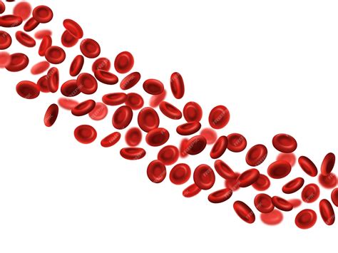 Globules Rouges érythrocytes Dhémoglobine Médicale Circulation