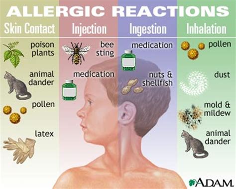 Seasonal Allergies Tip 2