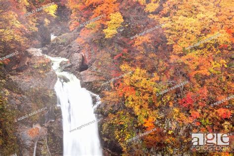 Akiu Great Falls Miyagi Prefecture Stock Photo Picture And Royalty