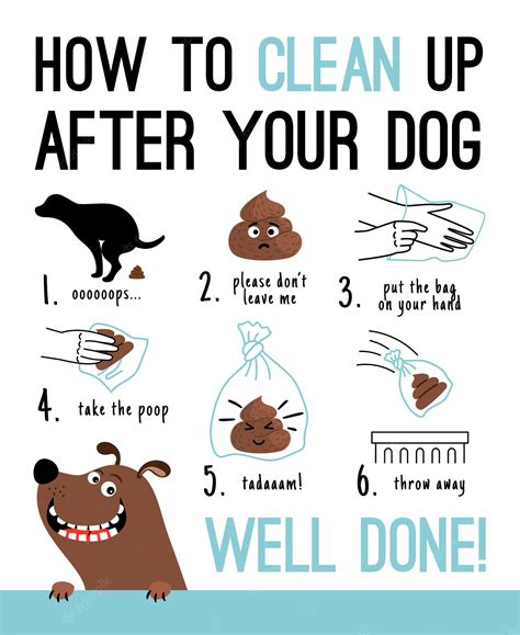 How To Clean Up Dog Poop Off Of Carpet F