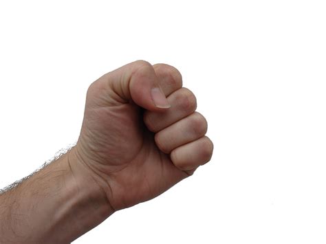 file clenched human fist png