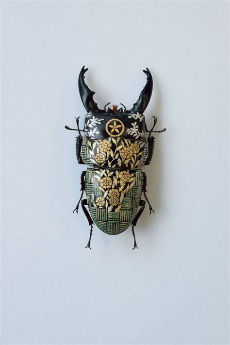 Aesthetic Sharer Zhr On Twitter Insect Art Insects Bug Art