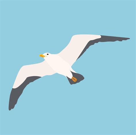 Premium Vector Cartoon Atlantic Seabird Seagulls Flying Sea Ocean