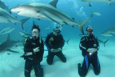 Scuba Diving In The Bahamas