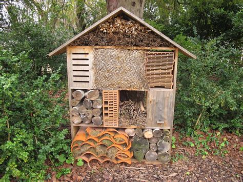 Épinglé Par Anne Bak Sur Gardening Hôtel à Insectes Hôtel Insectes