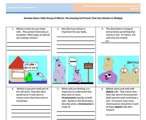 Worksheets, practice sheets & homework sheets. Mitosis handout made by the Amoeba Sisters. Click to visit website and scroll down to ...