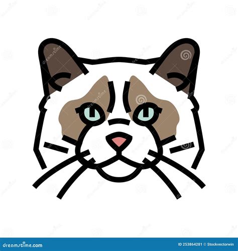 Ragdoll Cat Cute Pet Color Icon Vector Illustration Stock Vector