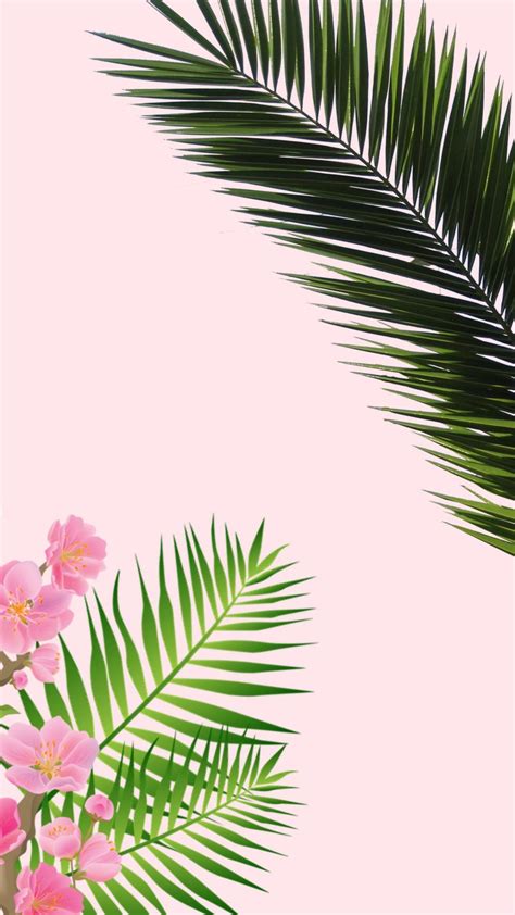 Tropical Aesthetic Wallpapers Wallpaper Cave