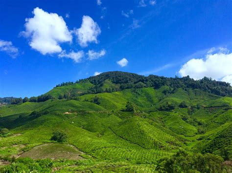 Landscape Photography Of Green Hill Under Blue Sky And White Clouds