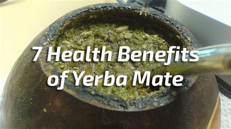 7 Health Benefits Of Yerba Mate Nutrition Fox