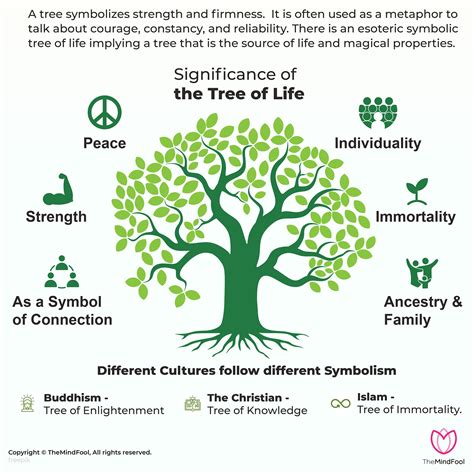 Tree Of Life Meaning What Is It And Its Symbolism In 2022 Tree Of