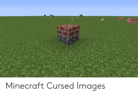 Curse of darkness, video games, video game art. Minecraft Cursed Images | Minecraft Meme on ME.ME