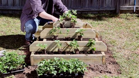How To Build A Vertical Strawberry Or Herb Pyramid Planter