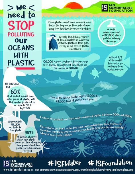 Ocean Plastic Pollution Impact On Animals Inquiry Plastic Pollution