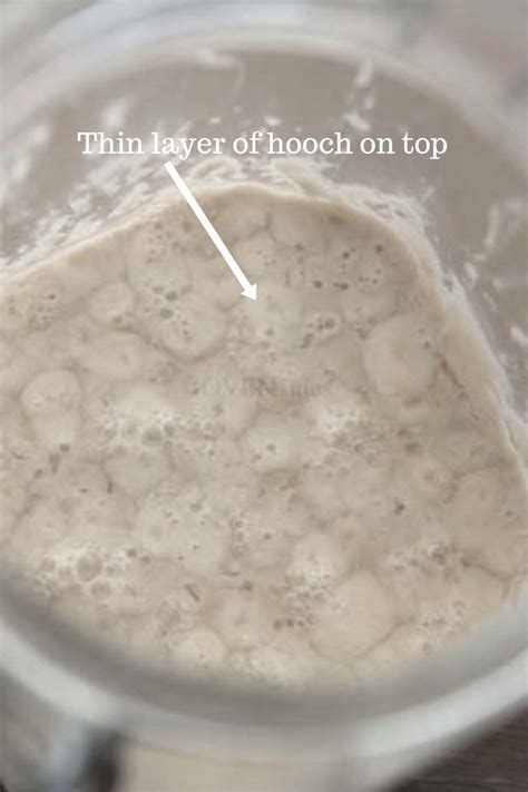 Maintaining Sourdough Starter