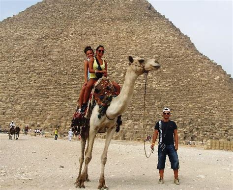 Las pirámides de giza, abu simbel, el valle de los reyes, los templos de karnak. Camel or horse riding at pyramids