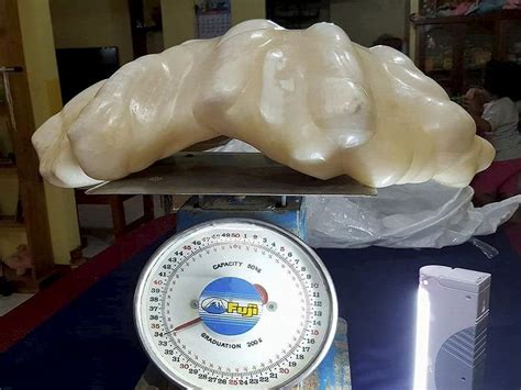 Filipino Fisherman Reveals 75 Pound Pearl He Kept Hidden For A Decade
