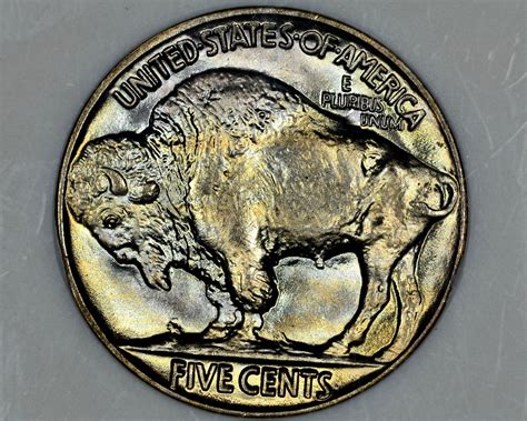 The Tail Of Two Buffalo Nickelsgrades Revealed — Collectors
