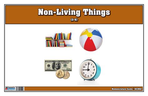 Montessori Materials Non Living Things Nomenclature Cards